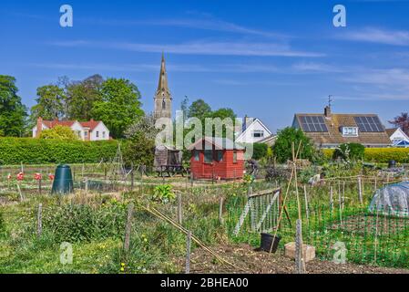 Bedfordshire villaggio allotment in una luminosa giornata di sole in primavera Foto Stock