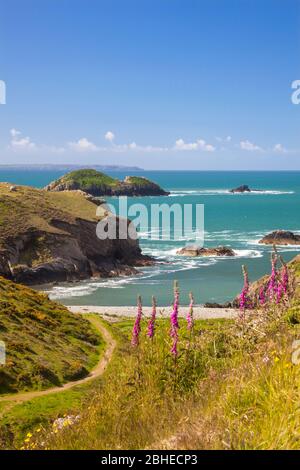 Solva, St Brides Bay, Pembrokeshire, Galles, Regno Unito Foto Stock