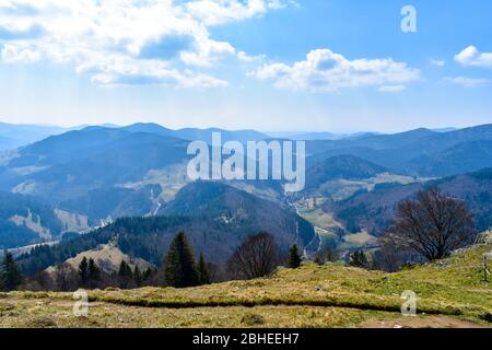 Kleines Wiesental nella Foresta Nera. Foto Stock