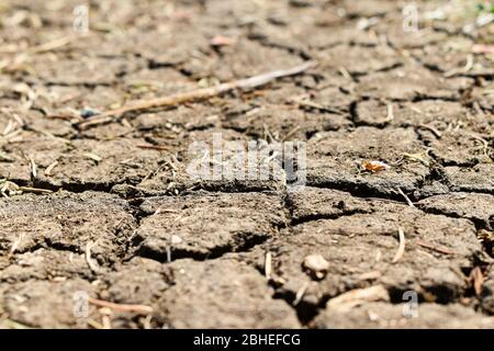 Terreno asciutto con grandi crepe - riscaldamento globale. Foto Stock