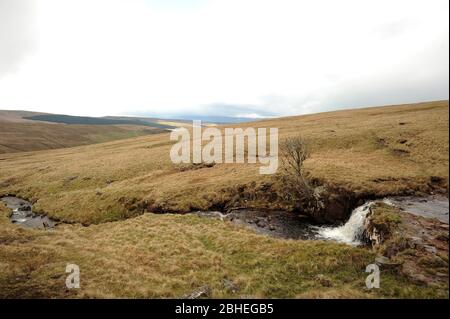 Piccola cascata su Nant y Llyn. Foto Stock