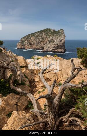 Giornata primaverile con cielo blu con nuvole bianche. Vista dal parco naturale Parco Naturale Regionale di Porto Conte sull'isola di Isola Foradada a Mediter Foto Stock