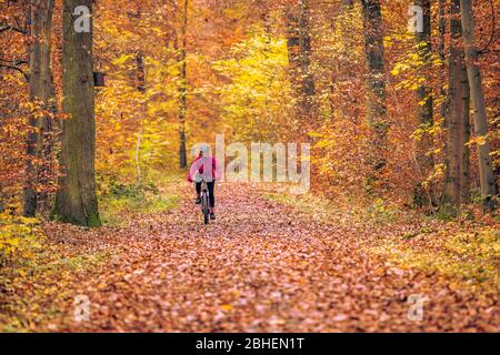 Bella donna anziana in sella alla sua bici elettrica sui sentieri autunnali della foresta vicino a Stoccarda, bellissimi colori caldi Foto Stock