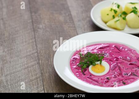 saltibarscai, zuppa di barbabietole fredde con kefir, borscht lituano Foto Stock