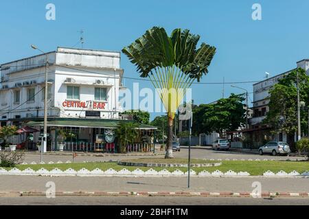Scena di strada con palme viaggiatori (Ravenala Madagascar.iensis) a Pointe Noire, Repubblica Democratica del Congo. Foto Stock