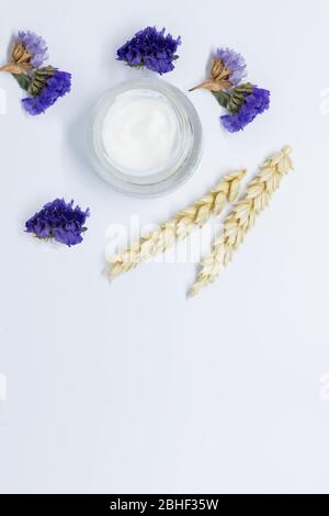 Vaso panna aperto con pikelets di grano vista dall'alto. Maschera viso Mourishing con componenti naturali di estratto di avena. Cosmetici, vaso con panna giornaliera con grano Foto Stock