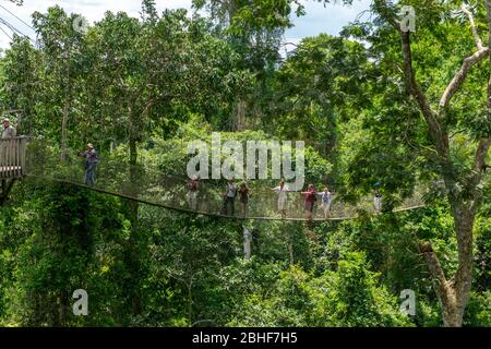 Turisti sul passaggio pedonale a baldacchino nel Parco Nazionale di Kakum, situato nei dintorni costieri della Regione Centrale del Ghana. Foto Stock