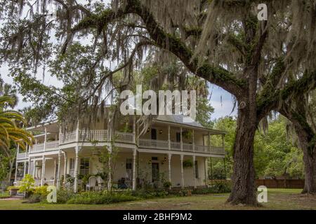 Una bella casa in stile vittoriano incorniciata da vecchi alberi di quercia drappeggiato con muschio spagnolo nel quartiere storico di Crystal River, Florida Foto Stock