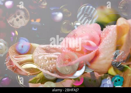 Un primo piano di fiori Begonia con gocce d'acqua. Una casa molto popolare ed anche usato nel giardino come una pianta di assestamento e in vasche Foto Stock