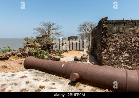 Rovine di Fort Bullen (1826) con cannone in primo piano su James Island, un sito patrimonio dell'umanità dell'UNESCO. L'isola si trova a circa 30 km dalla foce Foto Stock