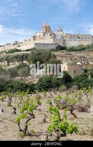 Vigna e Silent City di Mdina, Malta Foto Stock