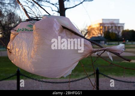 Washington, DC, USA - 3 febbraio 2020: Cestino sull'albero vicino al Lincoln Memorial a Washington, DC Foto Stock