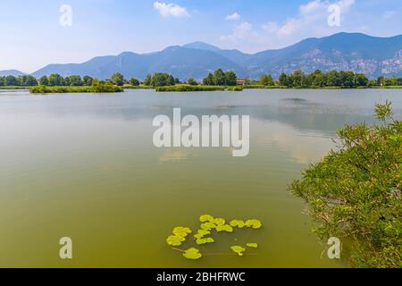 Riserva naturale Sebino (in italiano: Riserva Naturale Torbiere del Sebino) vicino Iseo, provincia di Brescia, Lombardia , Italia Foto Stock