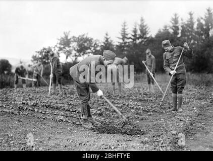 Soldati americani convalescenti al lavoro in American Red Cross Garden, Contrexeville, Francia, Lewis Wickes Hine, American National Red Cross Photograph Collection, giugno 1918 Foto Stock