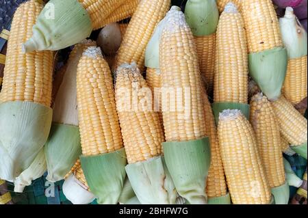 Corna fresche biologiche mature a UN mercato di strada ad Hanoi, Vietnam. Foglie splendidamente tagliate Foto Stock