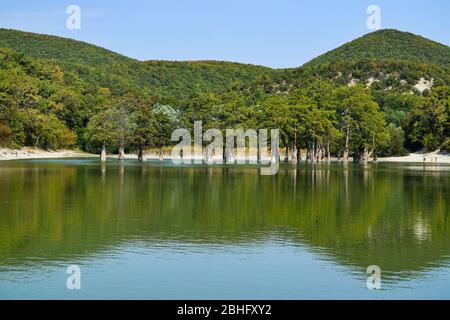 Lago Sukko, Krasnodar territorio, Russia. Cipresso boschetto nelle acque del lago. Un lago fantastico in montagna Foto Stock