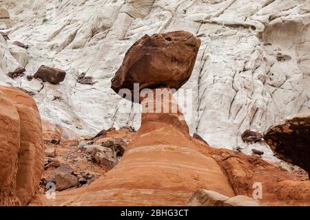 UT00509-00...UTAH - il Toadstools, un'area di formazione rocciosa lungo l'autostrada 89 amministrata dal BLM.Horizontal Foto Stock