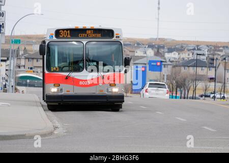 25 2020 aprile - Calgary, Alberta Canada - autobus di transito Calgary in attesa ad una fermata di autobus per i passeggeri Foto Stock
