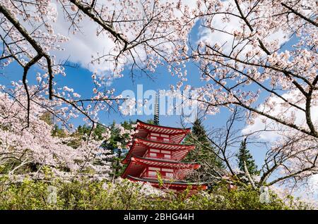 Maestoso Monte Fuji durante la stagione primaverile come vista dal Lago Kawaguchiko. La città offre una delle migliori vedute di Fujisan o del Monte. Fuji. Foto Stock