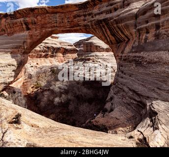 UT00551-00...UTAH - Vista sopra il White Canyon guardando nel Ponte di Sipapu situato lungo il sentiero del Ponte di Sipapu nel Monumento Nazionale dei ponti naturali. Foto Stock