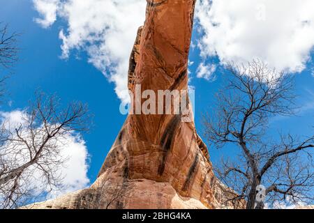 UT00552-00...UTAH - Vista che guarda all'arco del Ponte Sipapu nel Monumento Nazionale dei ponti naturali. Foto Stock