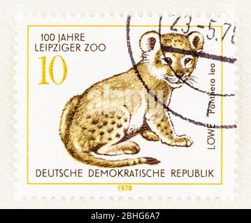 SEATTLE WASHINGTON - 25 aprile 2020: Affrancatura con il leone giovane che commemora 100 anni dello Zoo di Lipsia nella Germania orientale. Scott n. 1910 Foto Stock