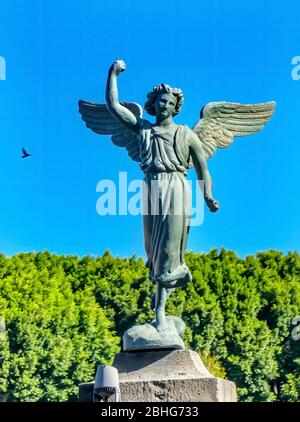 Statua dell'Angelo fuori dalla Cattedrale di Puebla Messico. Costruito nel 15 al 1600. Foto Stock