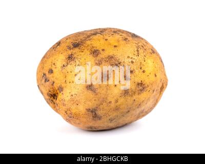 Patate sporche isolate su sfondo bianco, vegetale Foto Stock