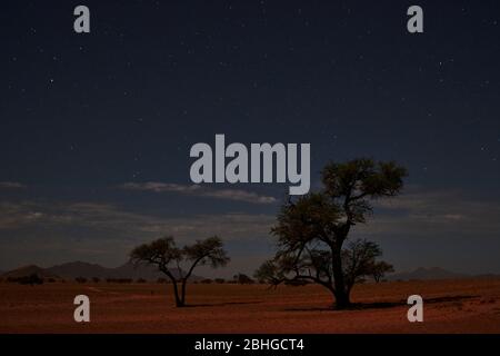 Cielo stellato al campeggio selvaggio a NamibRand Family Hideout, NamibRand Nature Reserve, NamibRand Sud Namibia, Africa Foto Stock