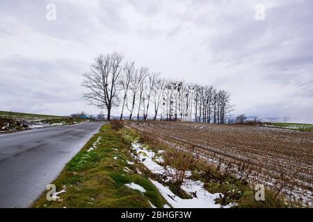 Mild Seven Hill situato nella città di Biei, è una piccola città circondata da un pittoresco paesaggio di dolci colline e campi vasti. La collina è fa Foto Stock