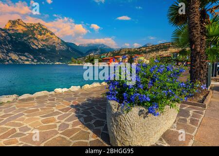 Splendida passeggiata lungomare lastricata e fiorita con palme nella località di Torbole, lago di Garda, Italia, Europa Foto Stock