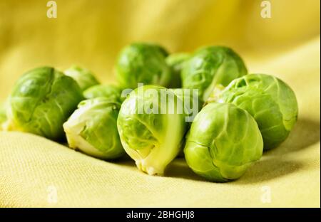 Cavoli di Bruxelles su tela di cotone giallo, belle verdure a foglia verde Foto Stock