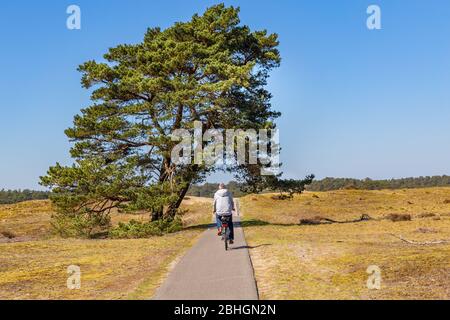 Uomo in bicicletta nel Parco Nazionale De Hoge Veluwe Paesi Bassi Foto Stock