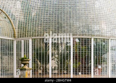 La Palm House (1820) ha un design curvilineo con 18,000 vetri in sottili barre di vetro in ferro. Bicton Park Botanical Gardens, Devon, Inghilterra, Regno Unito. Foto Stock