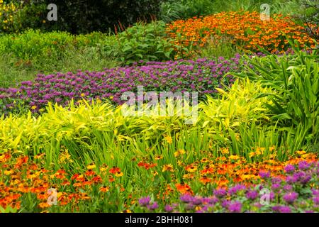Mostra colorata di fiori nel 'Giardino caldo' al giardino della Royal Horticultural Society a Rosemoor, Great Torrington, Devon, Inghilterra, Regno Unito. Foto Stock