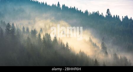 nebbia sopra la foresta sulla collina. misterioso tempo nebbia al mattino. fantastico scenario montano Foto Stock