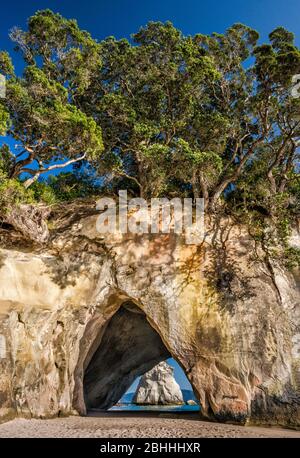 Arco di roccia a Cathedral Cove vicino alla città di Hahei, Penisola di Coromandel, Regione di Waikato, Isola del Nord, Nuova Zelanda Foto Stock