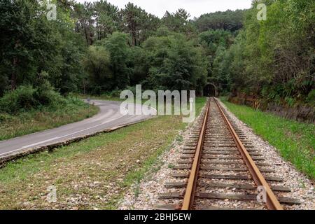 Vista di una strada con un binario ferroviario che va a un tunnel con foresta intorno ad esso Foto Stock