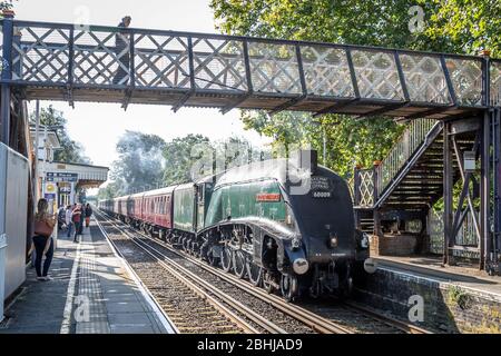 BR 'A4' 4-6-2 No. 60009 'Union of South Africa' passa attraverso la stazione di Chiswick, Londra, Inghilterra, Regno Unito Foto Stock