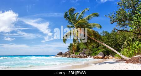 Seychelles Anse Georgette spiaggia Praslin isola palme vista panoramica vacanza mare acqua Foto Stock