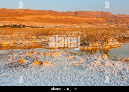 Alba al Mar Morto Israele deserto paesaggio paesaggio sale mattina acqua natura viaggio Foto Stock