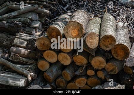 Legna da ardere tagliata da poco e rami. Concetto tradizionale di carburante rurale. Strutture in legno ruvido di sezioni trasversali del tronco di albero Foto Stock