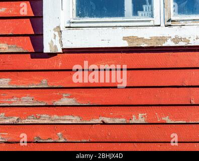 Foto ravvicinata di una tipica piccola guest house di colore rosso, con una finestra bianca nella campagna svedese, necessita di un immediato rinnovo - vecchia vernice fiocco Foto Stock