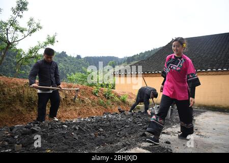 (200426) -- XIANGXI, 26 aprile 2020 (Xinhua) -- Shi Linjiao (R) lavora con i suoi amici sul campo vicino al suo studio di streaming dal vivo al villaggio di Shibadong di Xiangxi Tujia e prefettura autonoma di Miao, provincia Hunan della Cina centrale, 23 aprile 2020. Shi Linjiao, 24 anni, è un villaggio montagnoso della provincia di Hunan, nella Cina centrale. Una volta lavorò alla pubblicità presso una società di Liuyang, anche una città di Hunan, dopo essersi laureata in un giardino d'inverno nel 2019. Tuttavia, con il suo sogno e uno spirito pionieristico in mente, Shi si dimise dall'azienda all'inizio del 20 Foto Stock