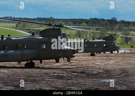 Royal Air Force CH47 Chinooks ottenere in volo con un HC-5 (ZH897) più vicino alla fotocamera Salisbury Plain Foto Stock