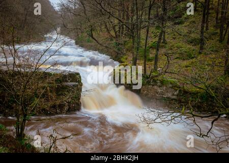 Sgwd y Bedol, le Horseshoe Falls, dopo la forte pioggia sul fiume Neath in cascata paese nel Brecon Beacons - bella lunga esposizione Foto Stock