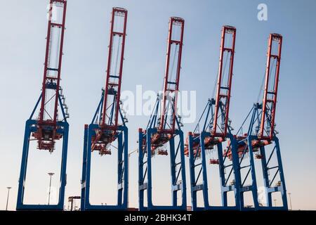 Una fila di gru a portale per container di grandi dimensioni con i bracci sul terminal dei container Tollerort CTT nel porto di Amburgo, gestito dall'HHLA Foto Stock