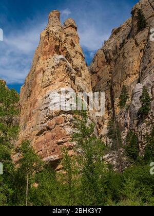 Sheep Creek Canyon Geological Area, Ashley National Forest vicino a Manila, Utah. Foto Stock