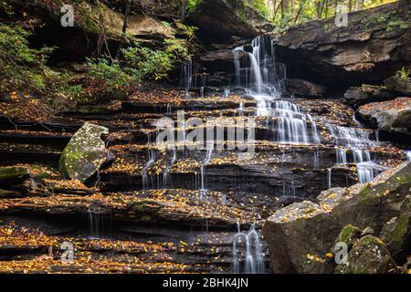 L'acqua scorre dolcemente sulle rocce a gradini ricoperte da coloratissimi fogliame arancione autunnale sul Laurel Creek nella Virginia Occidentale. Foto Stock