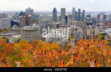 Montreal, Canada - 25 ottobre 2019 - la vista dei grattacieli della città dalla cima del Monte reale, circondato da un meraviglioso fogliame autunnale Foto Stock